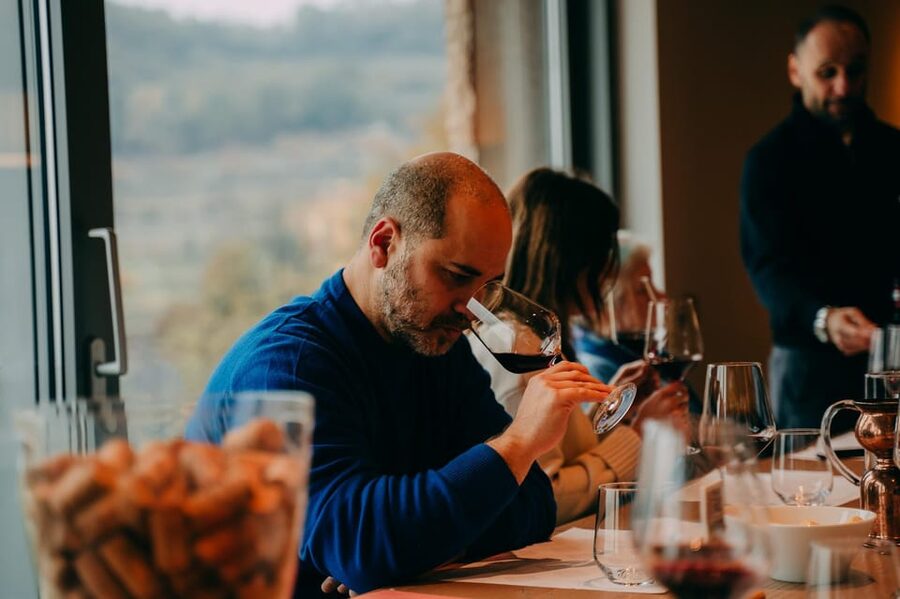 From Verona: Valpolicella and Amarone Wine Tasting Tour - Who should choose this tour?