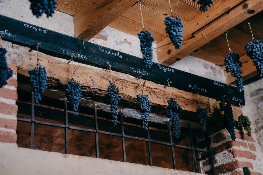 From Verona: Valpolicella and Amarone Wine Tasting Tour - What you will learn about Amarone and Ripasso