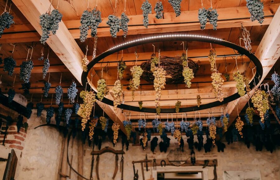 From Verona: Valpolicella and Amarone Wine Tasting Tour - Food pairings make the tastings more satisfying