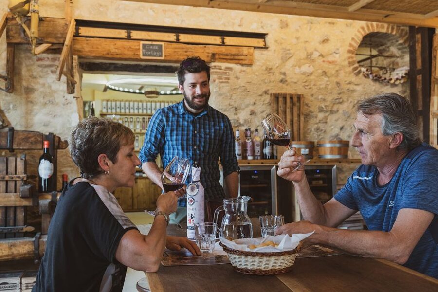 From Verona: Valpolicella Winery Tour with Amarone Vintages - Key points to know before booking