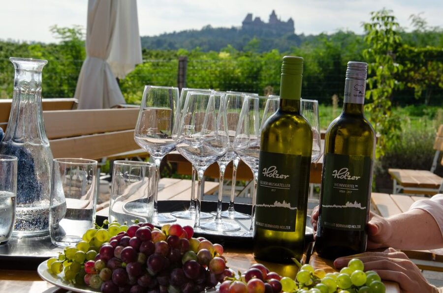 From Vienna: Half-day Countryside Wine Tour with Meal - Key details at a glance