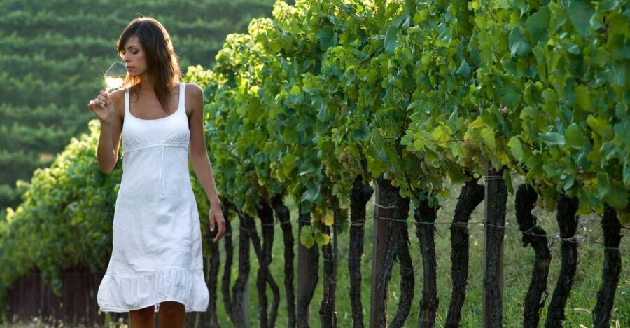 From Vienna: Half-day Countryside Wine Tour with Meal - The second and third stops