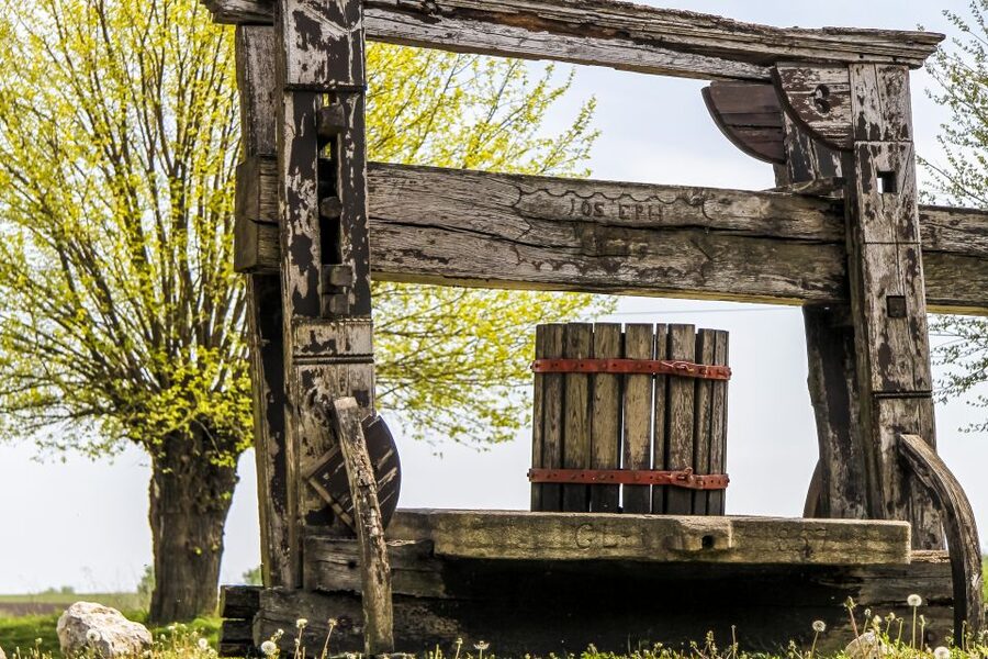 From Vienna: Half-day Countryside Wine Tour with Meal - Who should book this countryside outing?