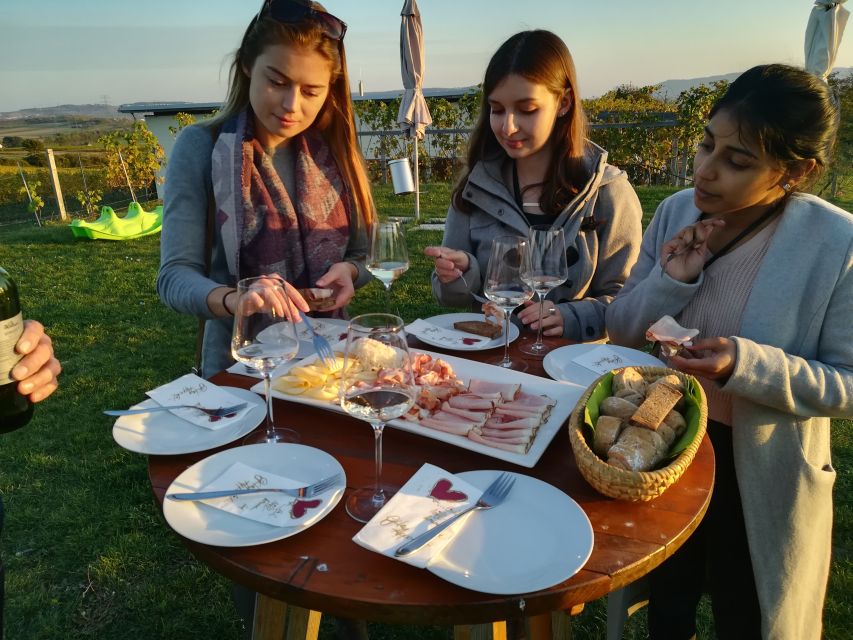 From Vienna: Half-day Countryside Wine Tour with Meal - Booking tips for a smoother day