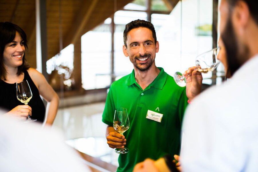 From Vienna: Wachau Valley Day Tour with Wine Tasting - Spitz and the Danube cruise to Melk