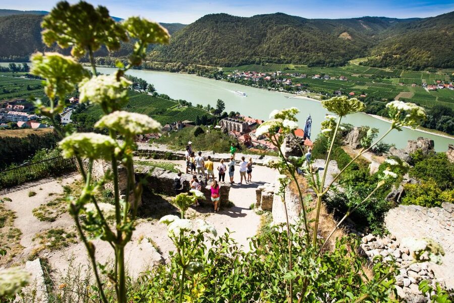 From Vienna: Wachau Valley Day Tour with Wine Tasting - Melk Abbey and the winter version of the day