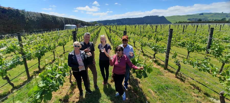 From Wellington: Martinborough Winery Tour - Why Martinborough makes a good Wellington day trip