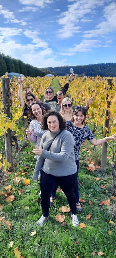 From Wellington: Martinborough Winery Tour - Poppies Martinborough and the first tasting