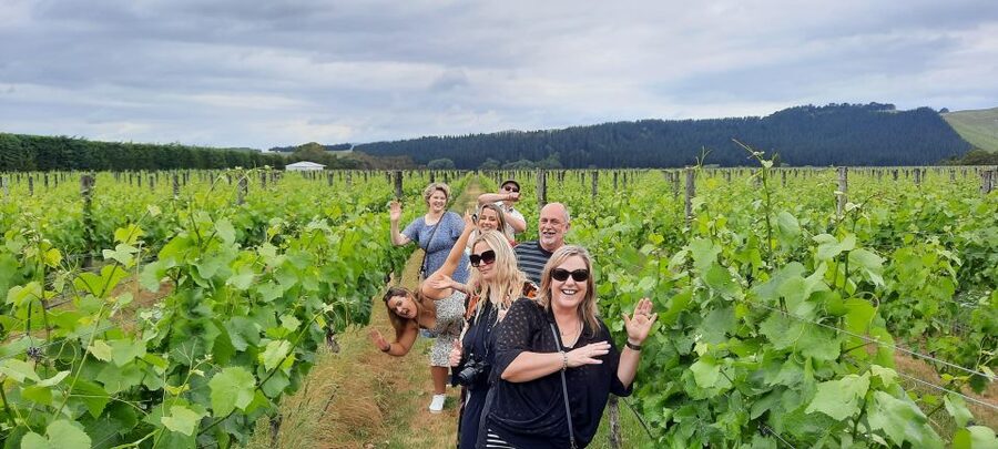 From Wellington: Martinborough Winery Tour - Margrain Vineyard and Palliser Estate