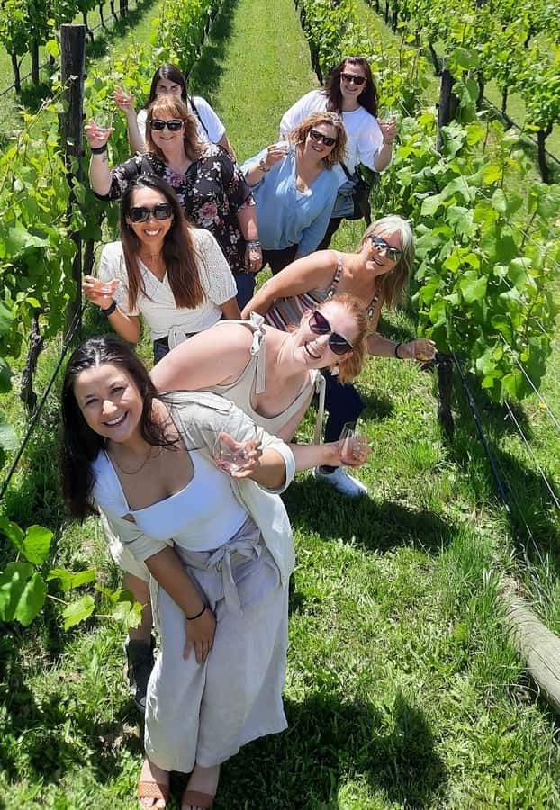 From Wellington: Martinborough Winery Tour - The road over the Remutaka Ranges