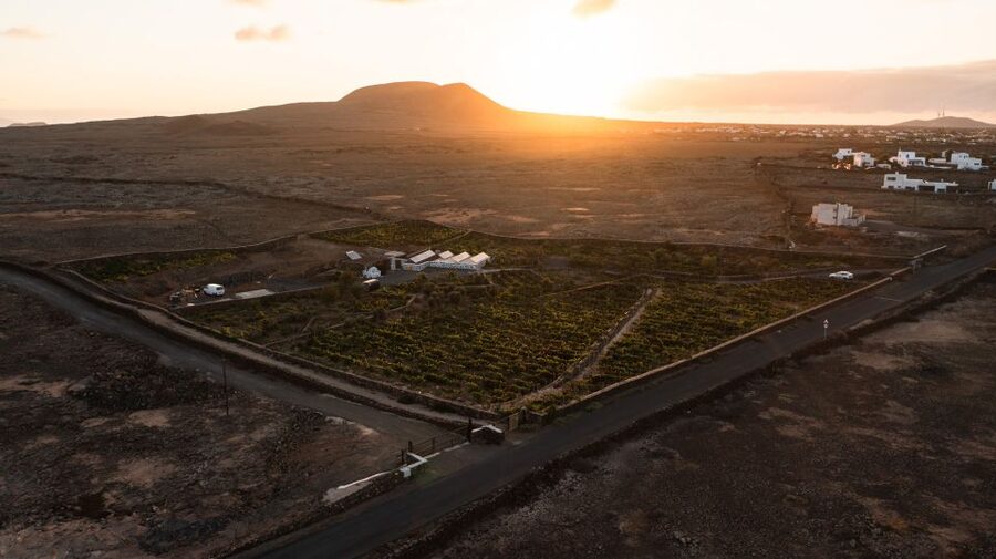 Fuerteventura: Tour & tasting at Conatvs Winery - My Take on the Experience