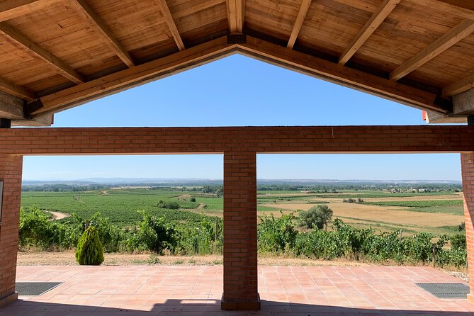 Full day at the winery, visit, tasting, aperitif and lunch - A hilltop winery above the Duero