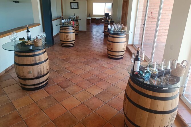 Full day at the winery, visit, tasting, aperitif and lunch - The Castilian aperitif