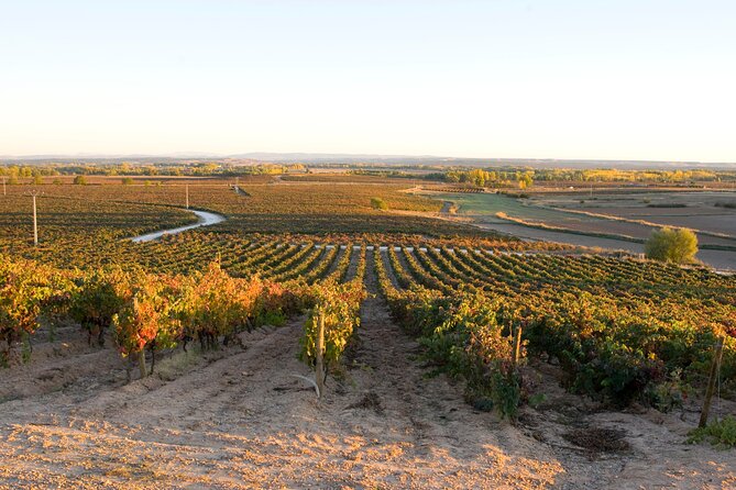 Full day at the winery, visit, tasting, aperitif and lunch - Lunch in the dining room viewpoint