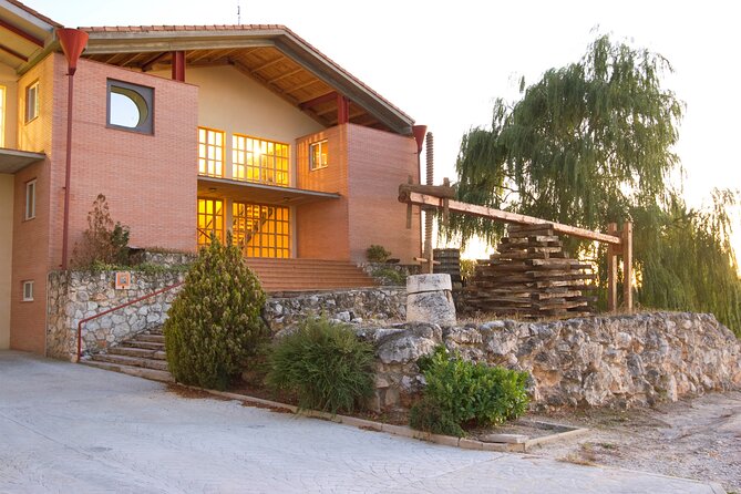 Full day at the winery, visit, tasting, aperitif and lunch - Why the food adds real value