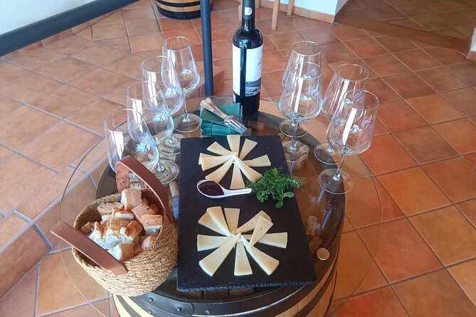 Full day at the winery, visit, tasting, aperitif and lunch - The setting is part of the lesson