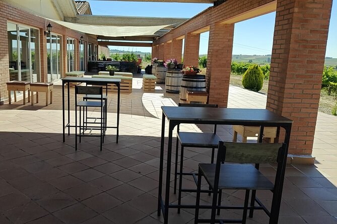 Full day at the winery, visit, tasting, aperitif and lunch - Practical points about comfort and access