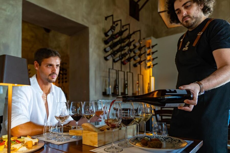 Full-Day Etna and Wine Tour from Catania - Who should book this tour?