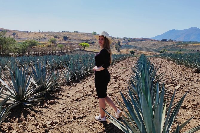 Full Day in Tequila with Tasting and party in Cantaritos - Who should book this experience?