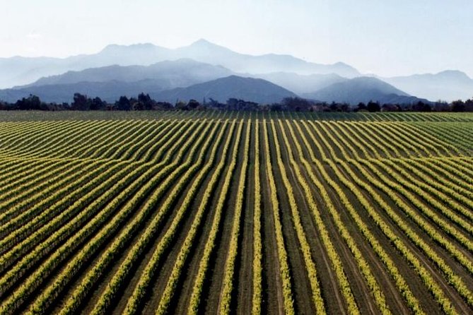 Full-Day Marlborough Wine Tour from Blenheim - Why this Marlborough day works well