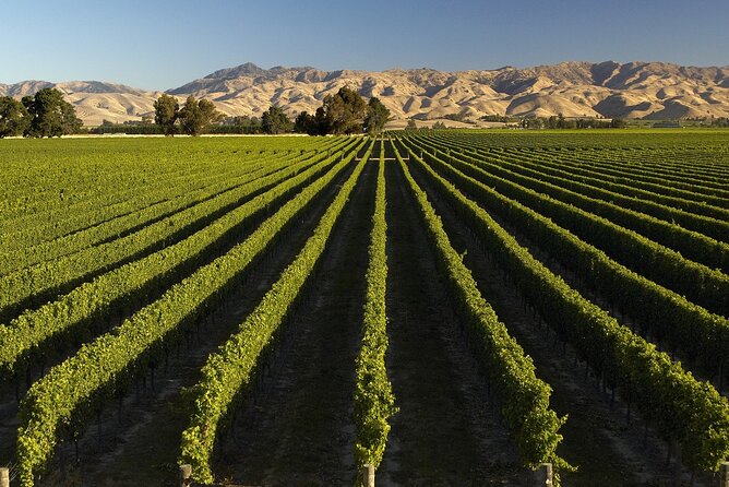 Full-Day Marlborough Wine Tour from Blenheim - The guides make a real difference