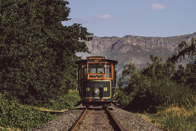 Full-Day Stellenbosch, Franschhoek and Paarl Wine Tasting Tour from Cape Town - Morning views and the first taste near Stellenbosch