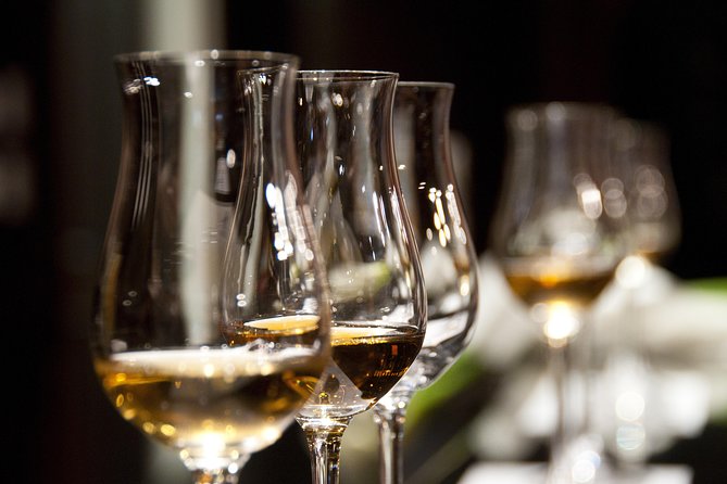 Full-Day Stellenbosch, Franschhoek and Paarl Wine Tasting Tour from Cape Town - Wine quality and the tasting format