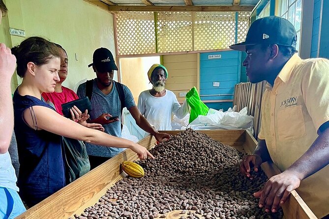 Full-Day Tour: Concord Waterfall, Chocolate Factory, Rum Distillery, Grand Etang - River Antoine Estate: the tour’s most distinctive stop