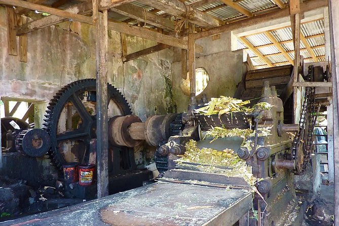 Full-Day Tour: Concord Waterfall, Chocolate Factory, Rum Distillery, Grand Etang - The drive is part of the tour, for better and worse