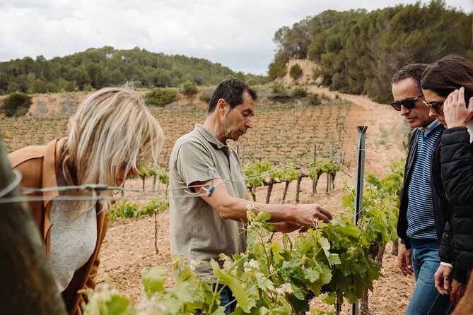 Full-Day Trip Barcelona to Montserrat Monastery & Cava Winery - How the pacing feels over seven hours