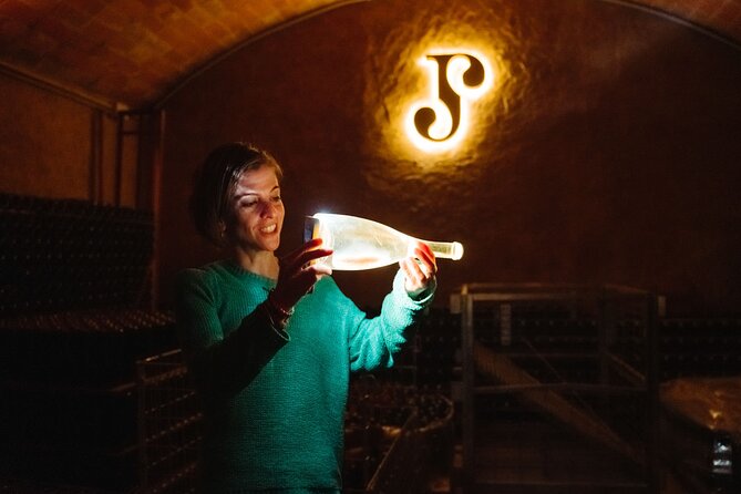 Full-Day Trip Barcelona to Montserrat Monastery & Cava Winery - Who should book this experience