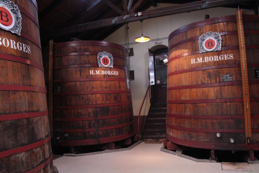 Funchal: H.M. Borges Winery Guided Tour with Wine Tasting - What Madeira wine tastes like