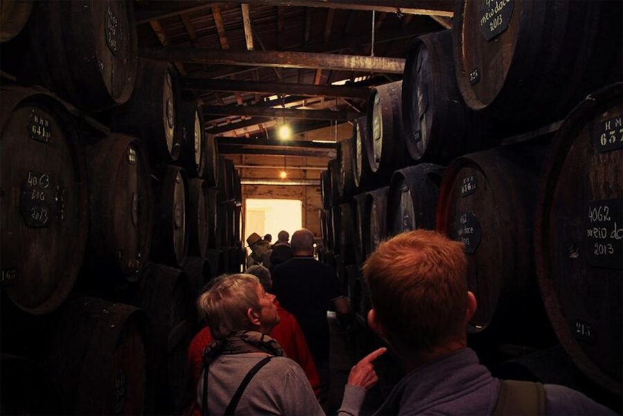 Funchal: H.M. Borges Winery Guided Tour with Wine Tasting - Max Römer paintings and the tasting room