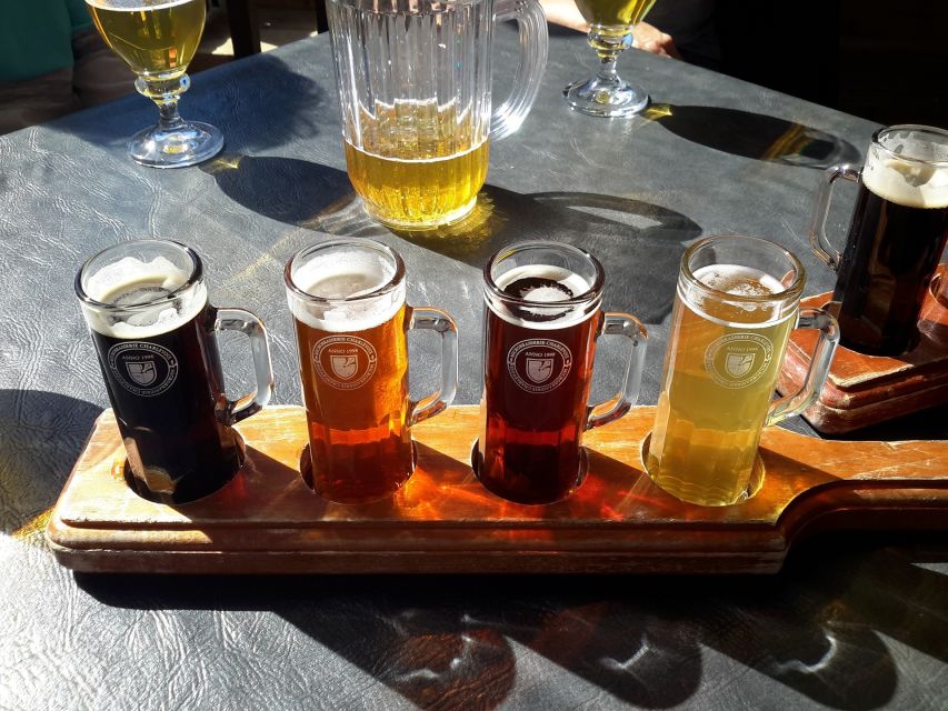 Gdansk: Polish Beer Tasting Tour - Should you book it?