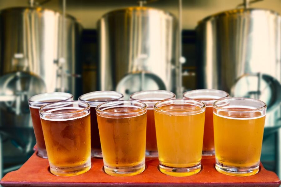Gdansk: Polish Beer Tasting Tour - Timing, meeting point, and practical details