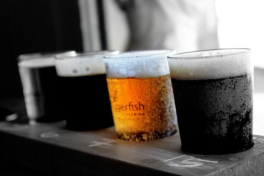 Gdansk: Polish Beer Tasting Tour - Who will enjoy this Gdansk beer tour?