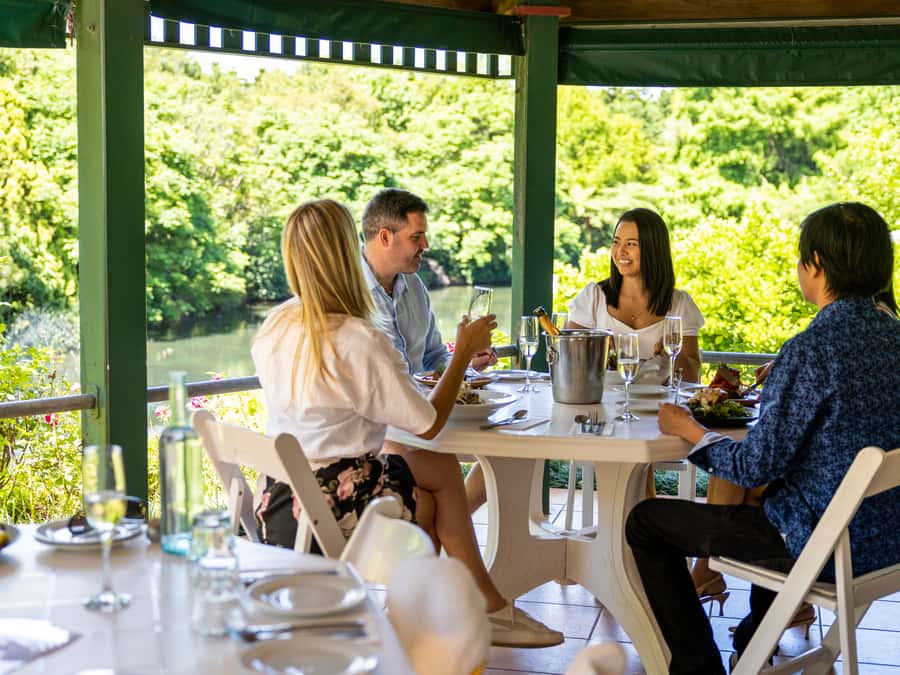 Gold Coast: Tamborine Mountain Local Winery Tour with Lunch - Witches Falls adds choice and a cheese option