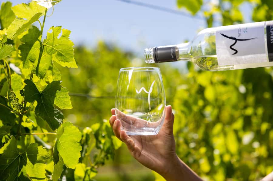 Gold Coast: Tamborine Mountain Local Winery Tour with Lunch - Is $162 a fair price?