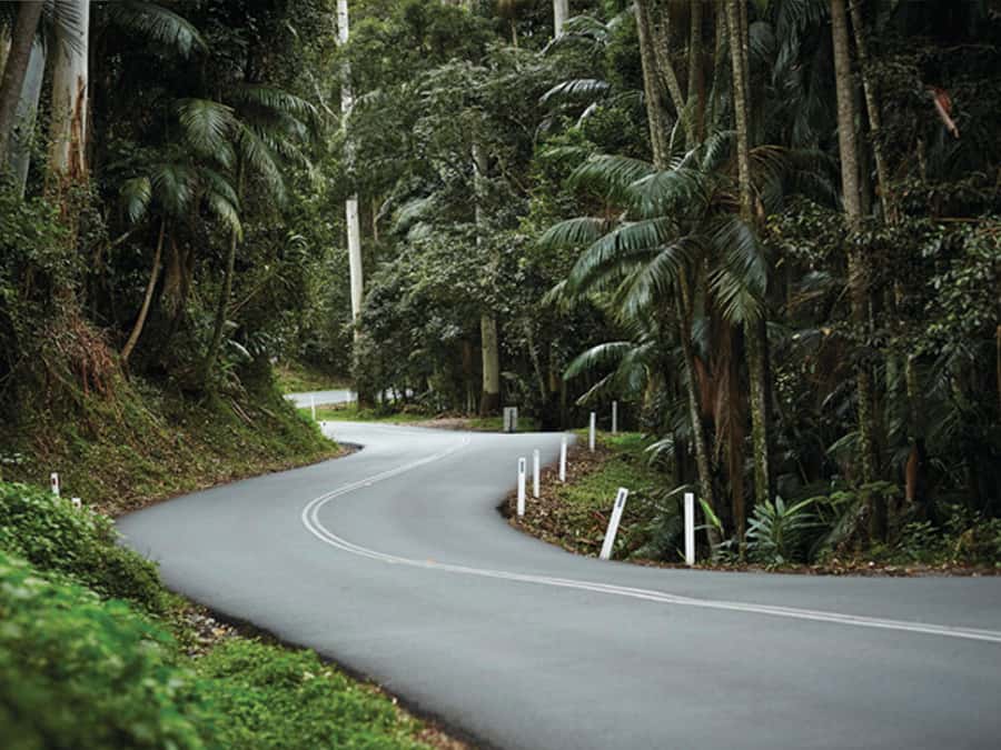 Gold Coast: Tamborine Mountain Local Winery Tour with Lunch - Who should book this experience?