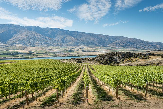 Gourmet Food and Wine Tour Queenstown All-Inclusive Tour - At a glance