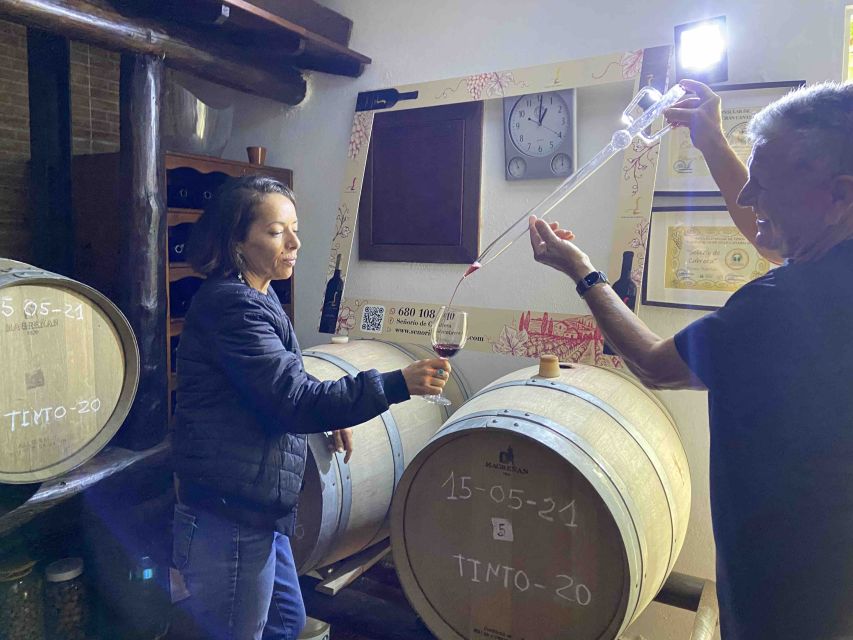 Gran Canaria: Best Wineries and Views Tour - The family winery visit