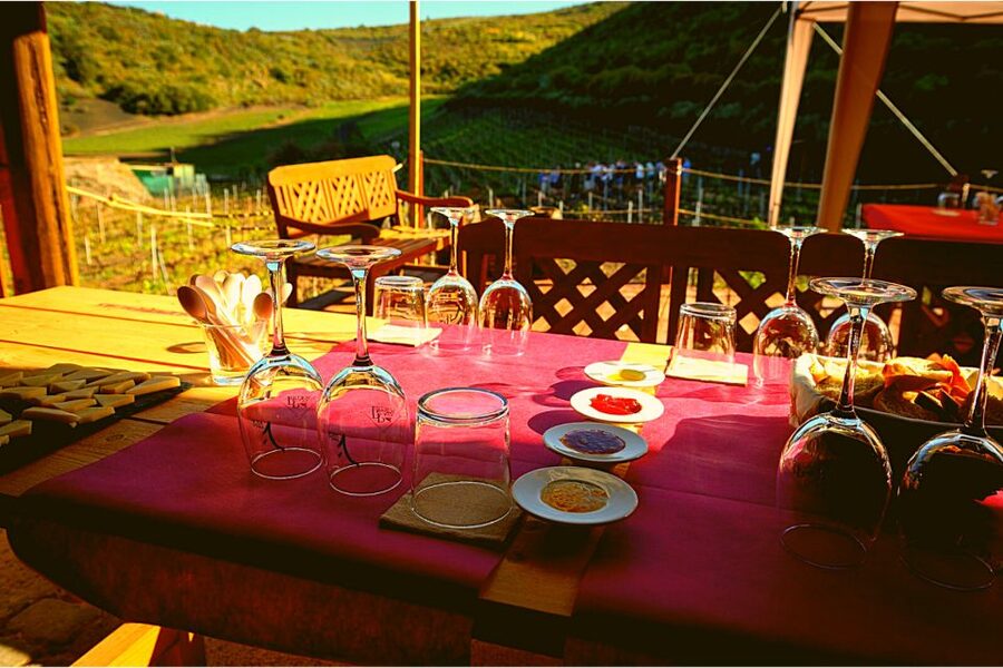 Gran Canaria: Best Wineries and Views Tour - What is served with the wine