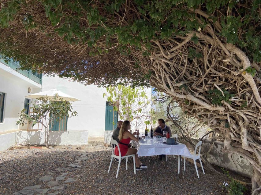Gran Canaria: Best Wineries and Views Tour - Price and value at $114