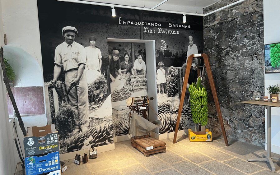 Gran Canaria: Rum, Wines and Banana Tour - What the $81 price really includes