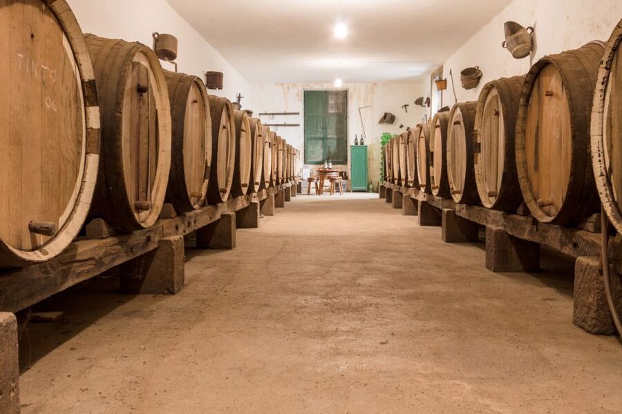 Gran Canaria: Winery Tour, Wine Museum, and Tasting - Getting to Bodega San Juan at Finca El Mocanal