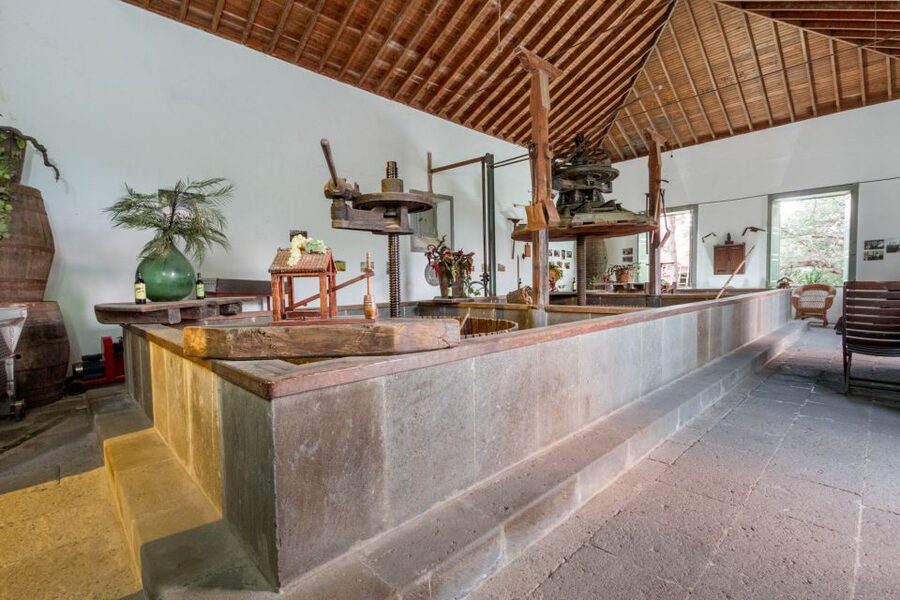Gran Canaria: Winery Tour, Wine Museum, and Tasting - Who will enjoy this winery visit most?