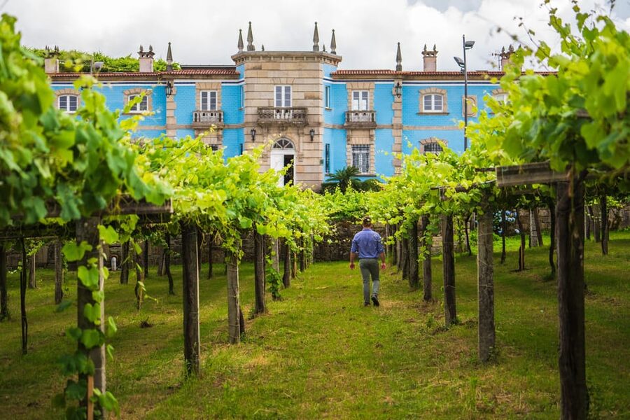 Granbazán Winery: Guided Tour and Wine Tasting - Why Granbazán Makes a Good Rías Baixas Stop