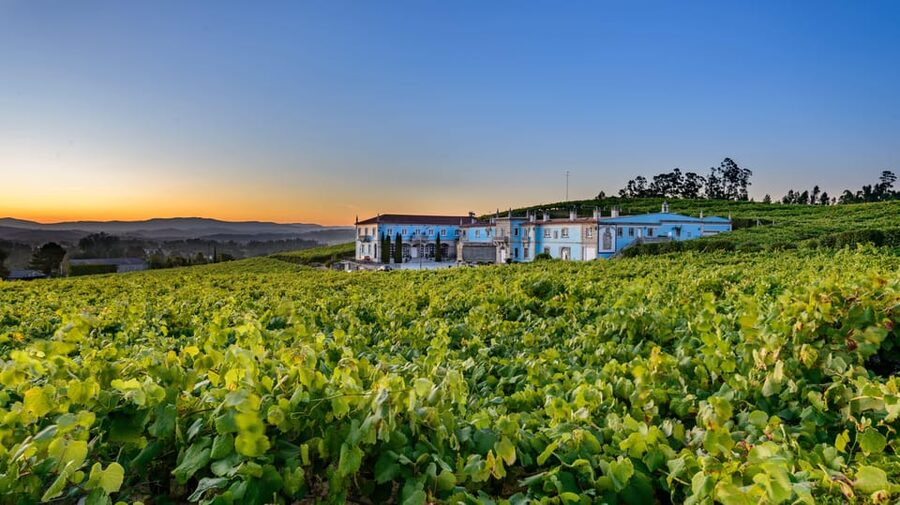 Granbazán Winery: Guided Tour and Wine Tasting - Four Wines With Galician Bites