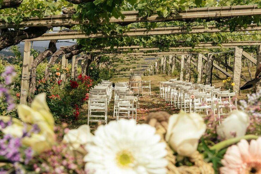 Granbazán Winery: Guided Tour and Wine Tasting - Is $29 a Fair Price?