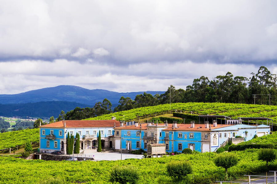 Granbazán Winery: Guided Tour and Wine Tasting - Inside the Winery and Wine-Making Areas